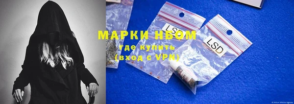 мяу мяу мука Елизово