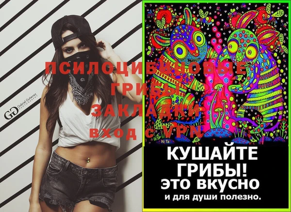 трава Елабуга