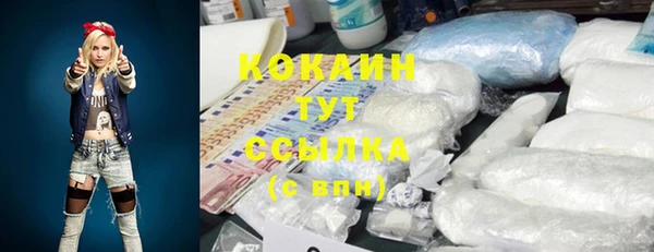 мяу мяу мука Елизово
