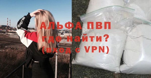 мяу мяу мука Елизово