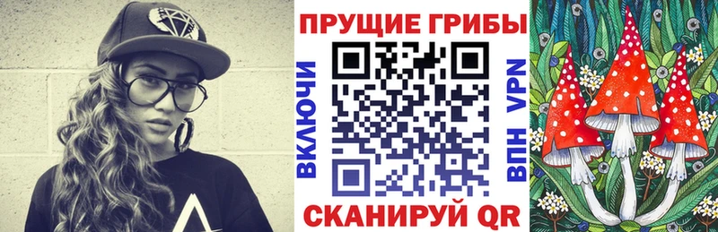 Купить закладки  Ленинградская  Псилоцибиновые грибы Psilocybe 